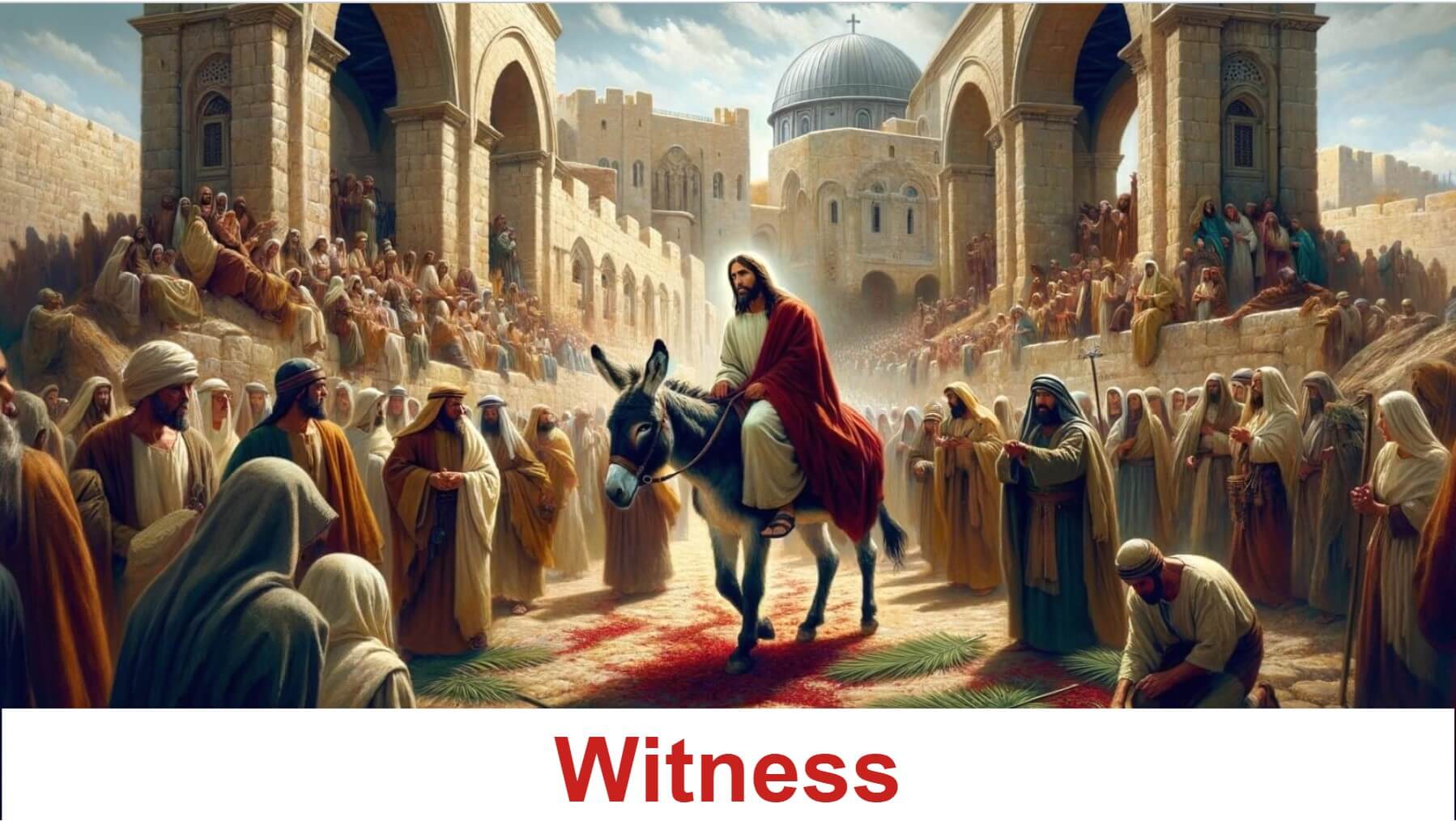 Witness