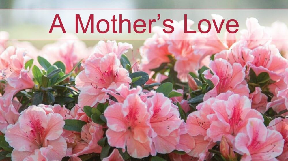 A Mother's Love