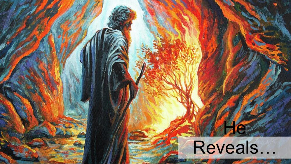 He Reveals