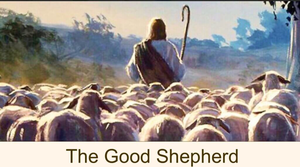 The Good Shepard