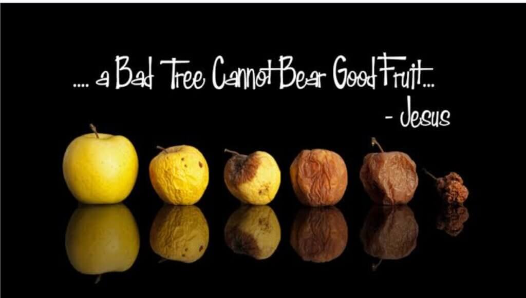A Bad Tree Cannot Bear Good Fruit