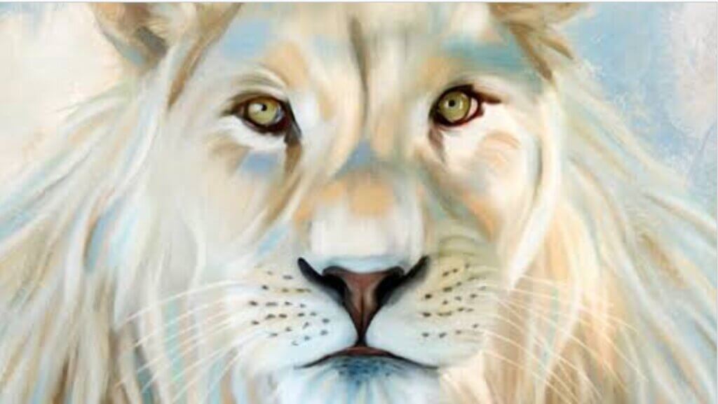 Is your love of Jesus have the strength of a Lion